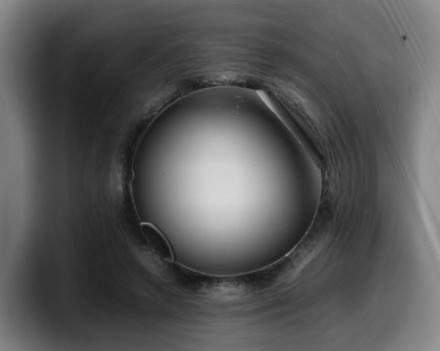 X0000099940546200805301219