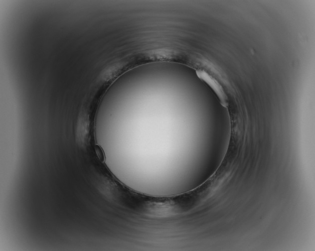 X0000099940548200805301219