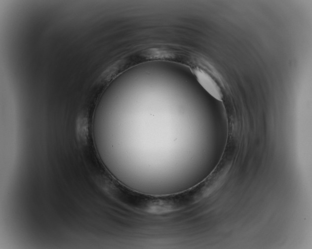 X0000099940549200805301219