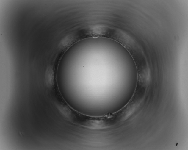 X0000099940552200805301219