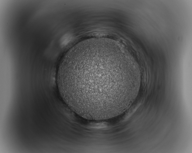 X0000099940553200805301219