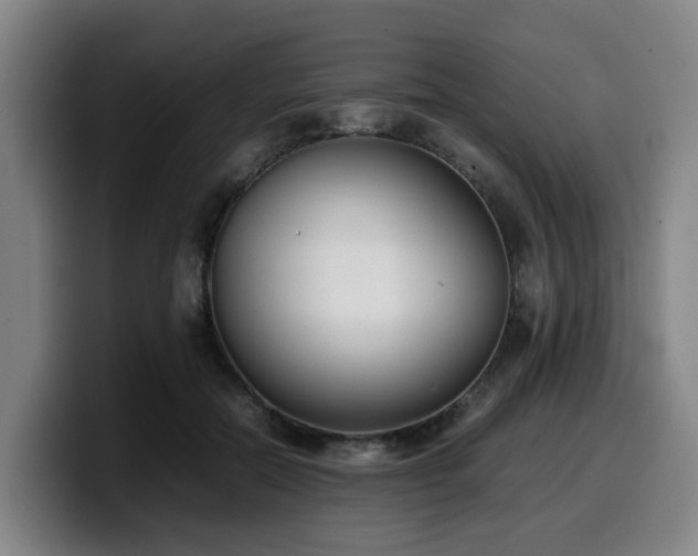 X0000099940554200805301219