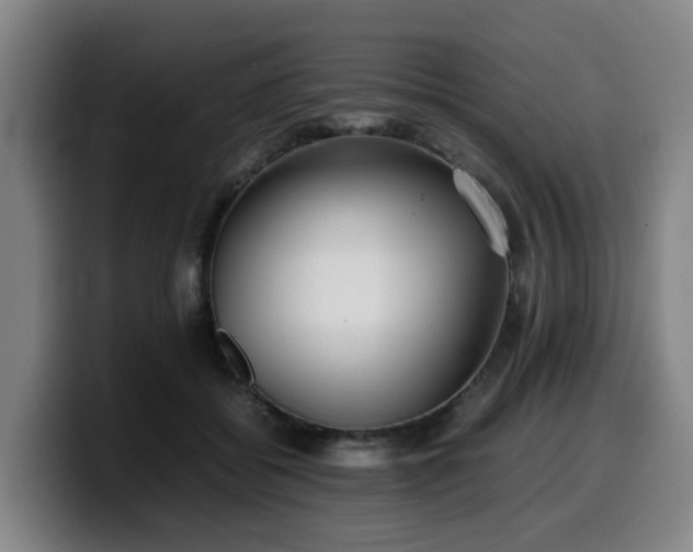 X0000099940556200805301219