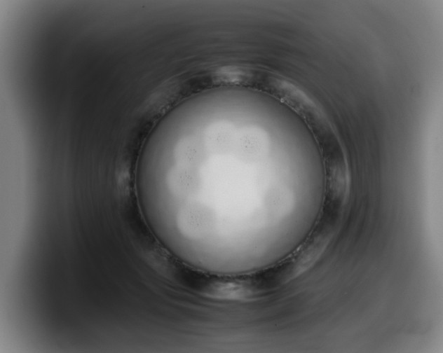 X0000099940557200805301219