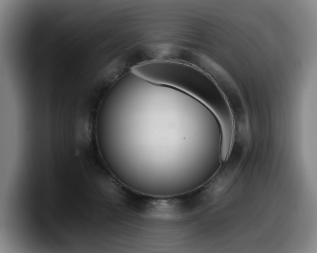 X0000099940558200805301219