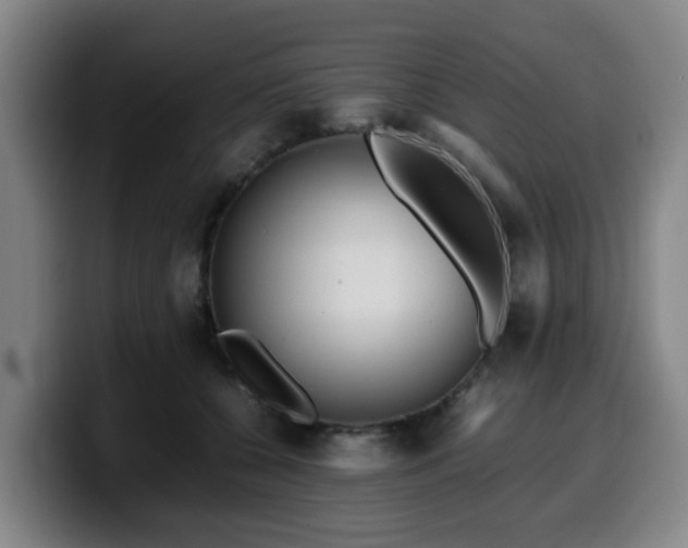 X0000099940560200805301219