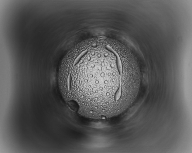 X0000099940561200805301219