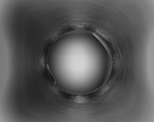 X0000099940562200805301219