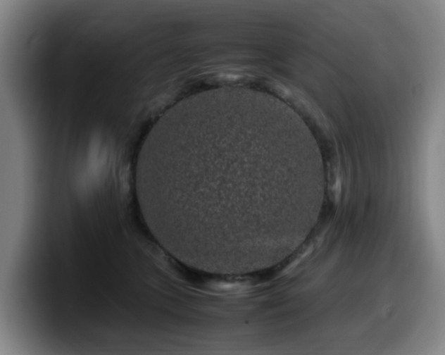 X0000099940563200805301219