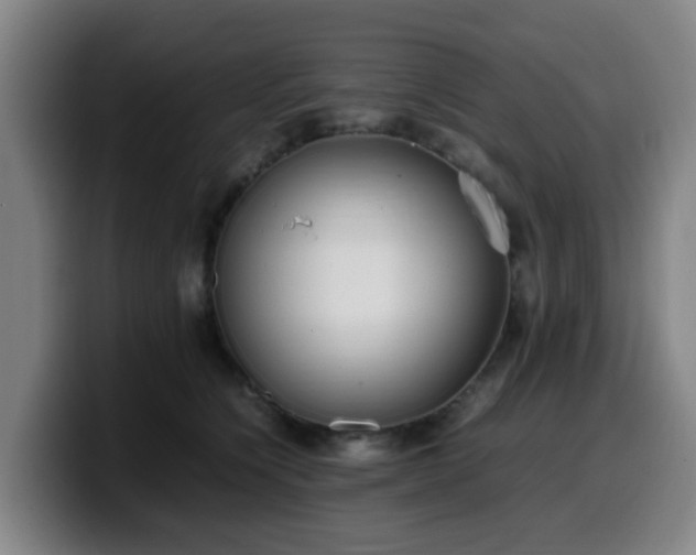 X0000099940564200805301219