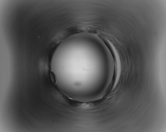 X0000099940566200805301219