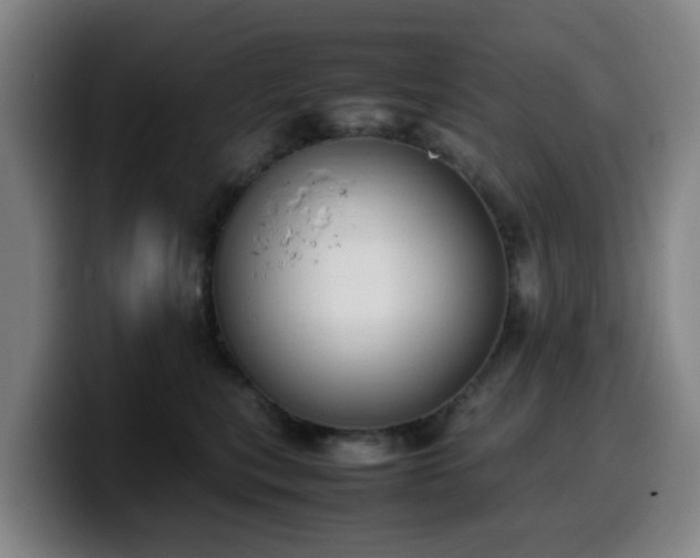 X0000099940567200805301219