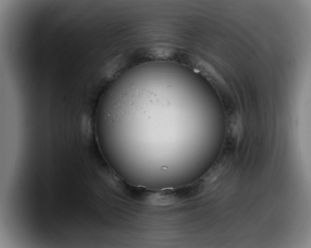 X0000099940568200805301219