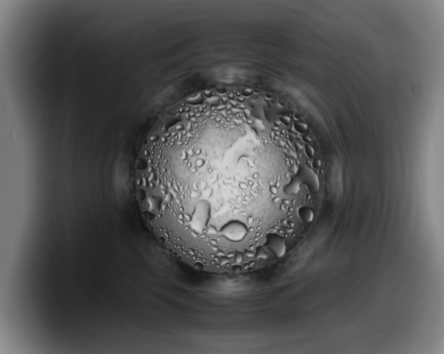 X0000099940569200805301219