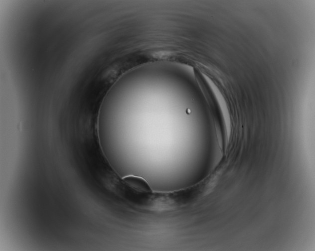 X0000099940572200805301219