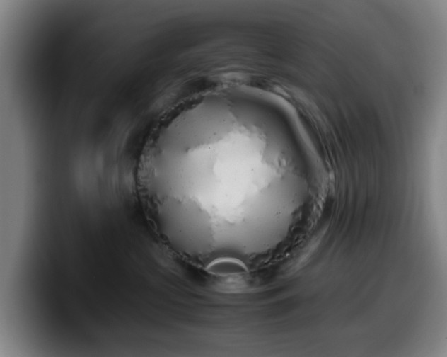 X0000099940573200805301219