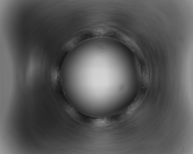 X0000099940574200805301219