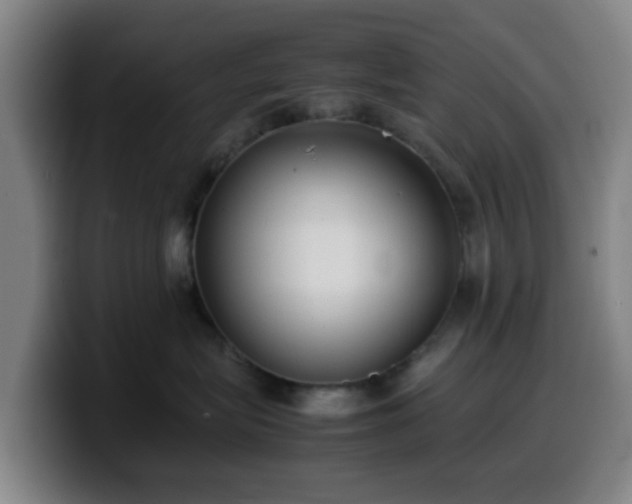 X0000099940575200805301219