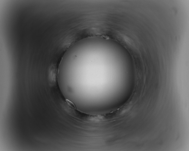 X0000099940576200805301219