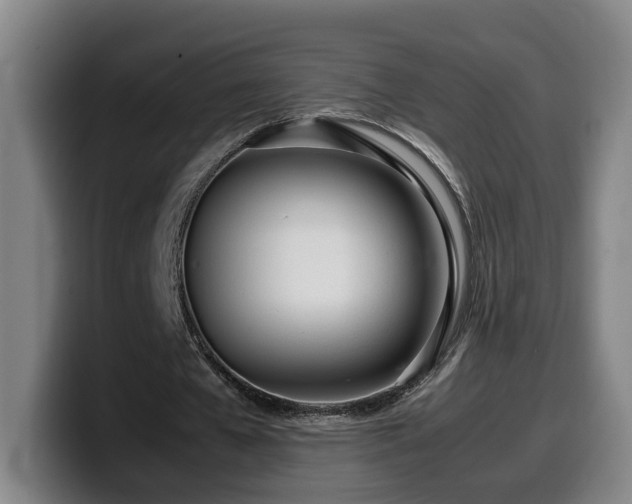 X0000099940577200805301219