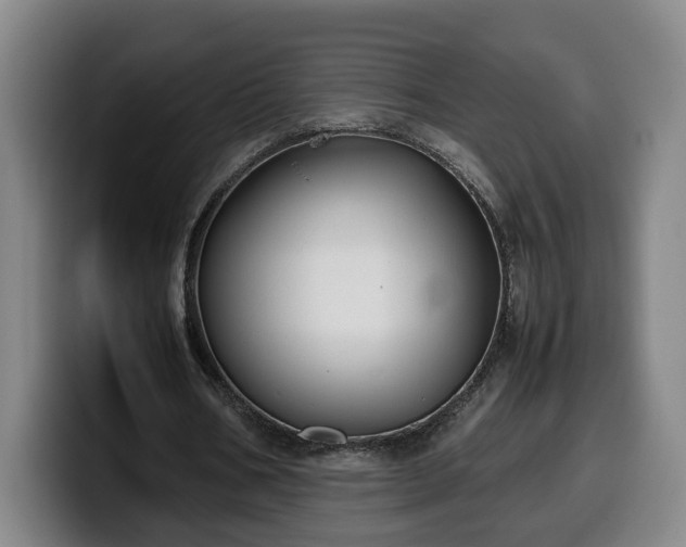 X0000099940578200805301219