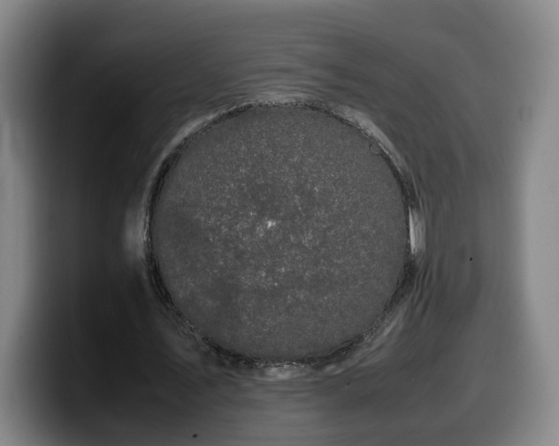 X0000099940579200805301219