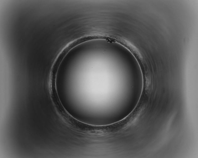 X0000099940580200805301219