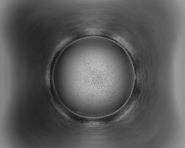 X0000099940581200805301219