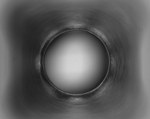 X0000099940582200805301219