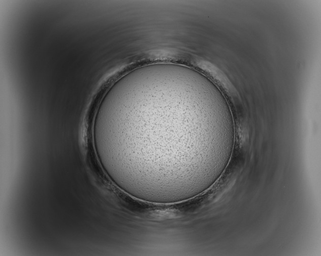 X0000099940583200805301219