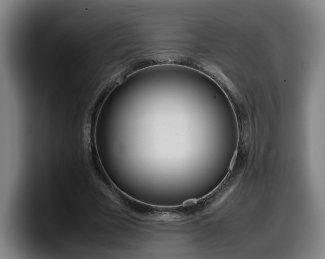 X0000099940585200805301219