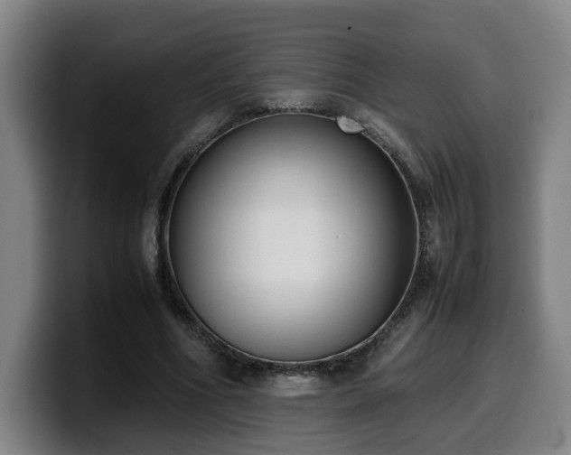 X0000099940586200805301219