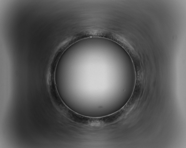 X0000099940587200805301219