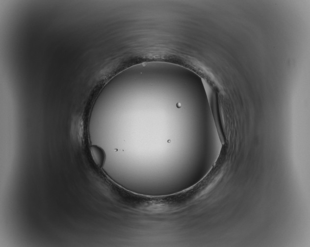 X0000099940589200805301219