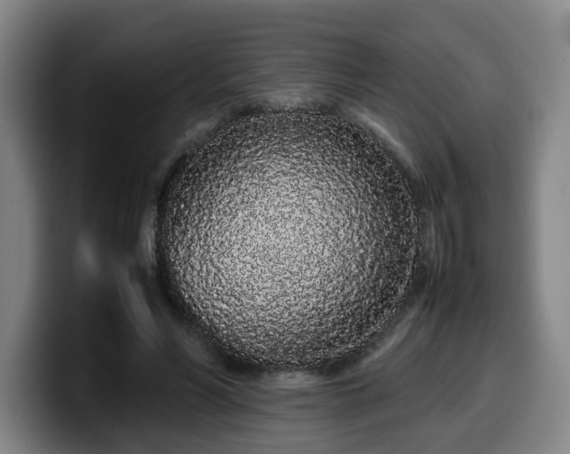 X0000099940590200805301219