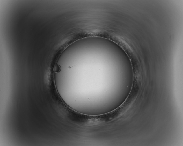 X0000099940591200805301219
