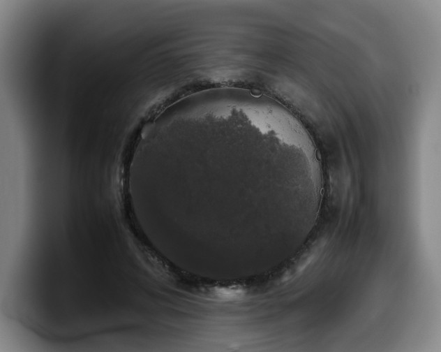 X0000099940592200805301219