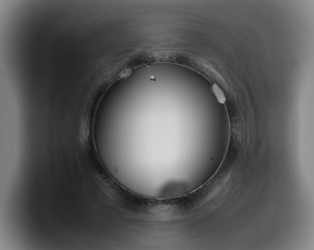 X0000099940593200805301219