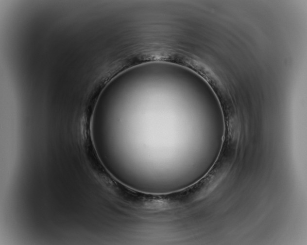 X0000099940594200805301219