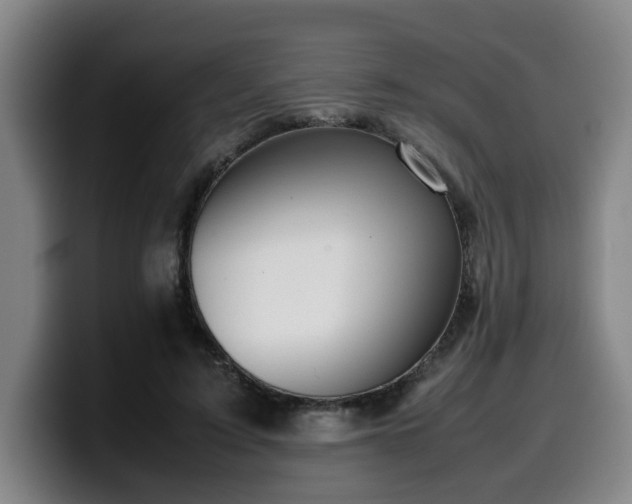 X0000099940595200805301219