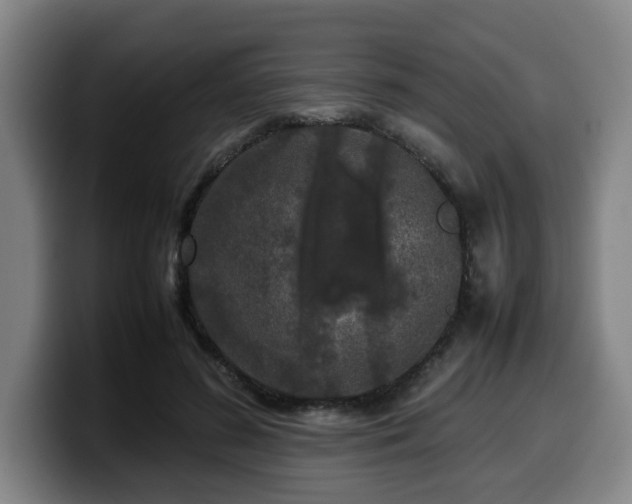 X0000099940596200805301218