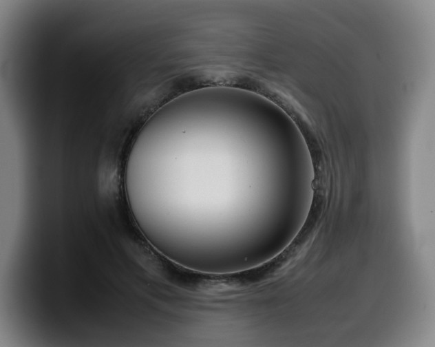 X0000099940597200805301218