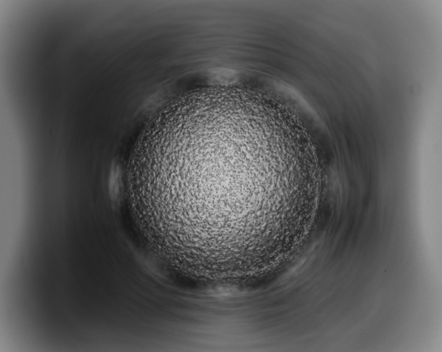 X0000099940598200805301218