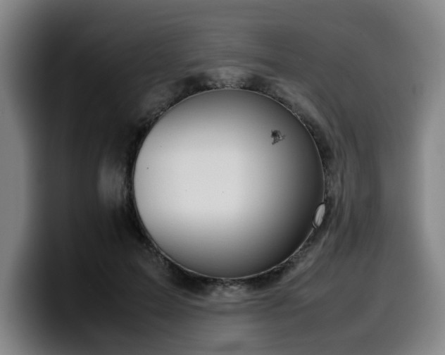 X0000099940599200805301218