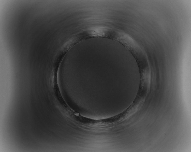 X0000099940600200805301218