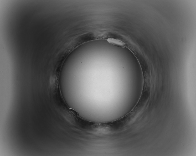 X0000099940601200805301218