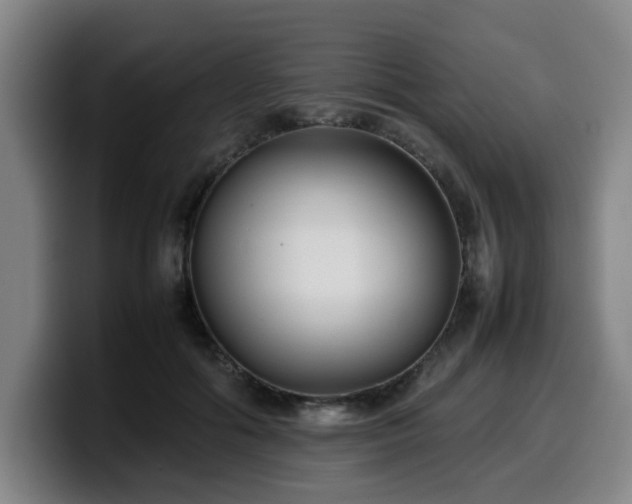 X0000099940602200805301218