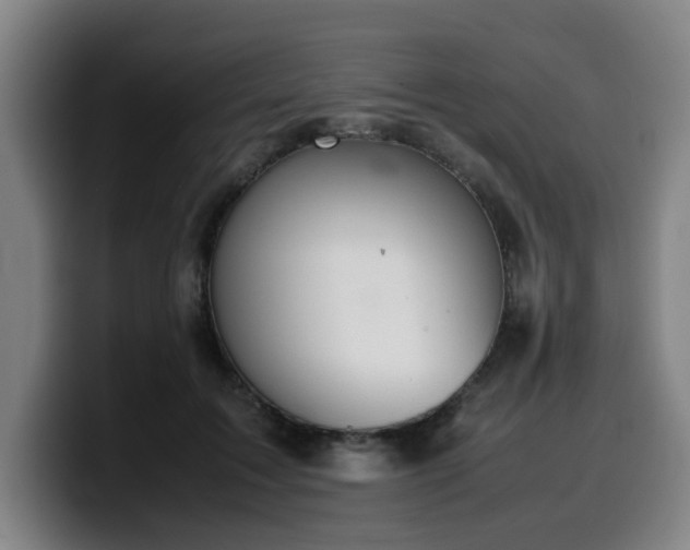 X0000099940603200805301218