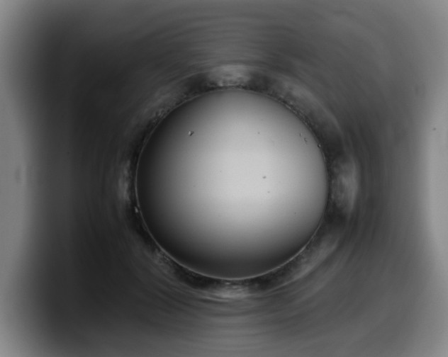 X0000099940604200805301218
