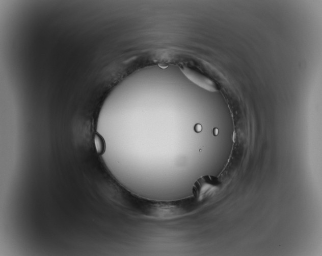 X0000099940605200805301218